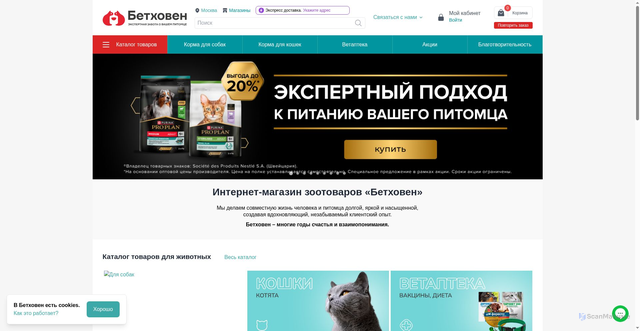 Security scan screenshot of https://bethowen.ru