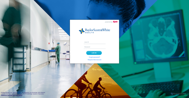 Security scan screenshot of https://epiccarelink.bswhealth.org