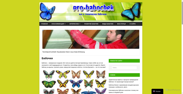 Security scan screenshot of https://pro-babochek.ru