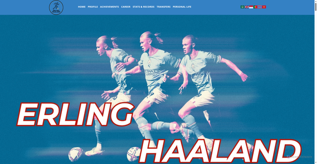 Security scan screenshot of https://erlinghaaland.net/