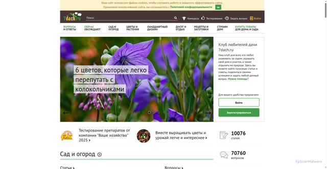 Security scan screenshot of https://img.7dach.ru