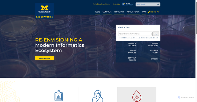 Security scan screenshot of https://mlabs.umich.edu