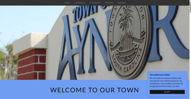 Security scan screenshot of https://townofaynor.gov/