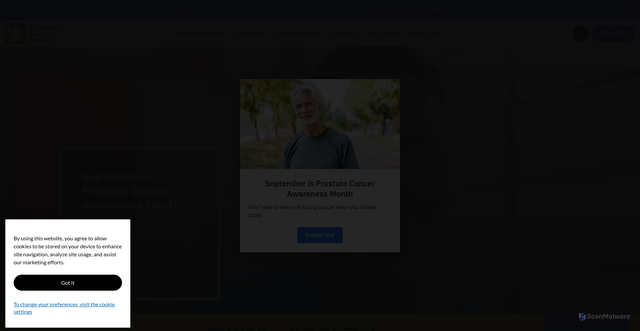 Security scan screenshot of https://cancer.ca