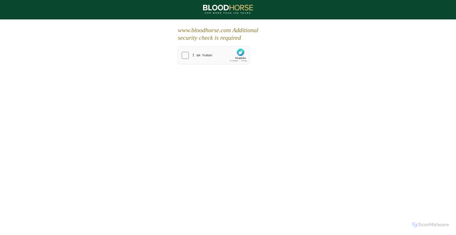 Security scan screenshot of https://www.bloodhorse.com/horse-racing/articles/289262/fan-favorite-regaleira-seeks-repeat-win-in-arima-kinen