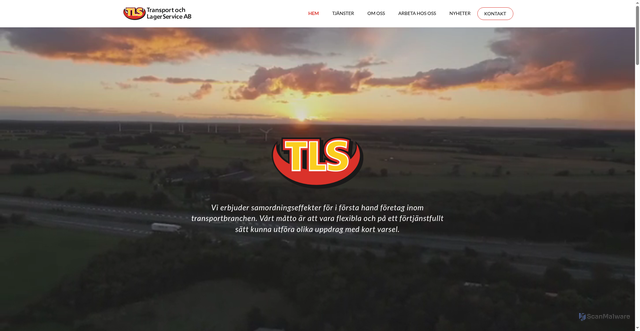 Security scan screenshot of https://tls.nu
