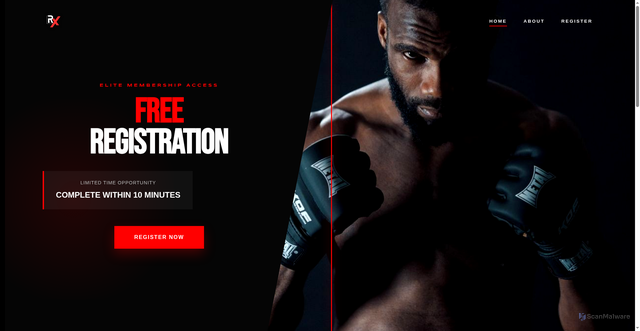 Security scan screenshot of http://rengxpartner.com/