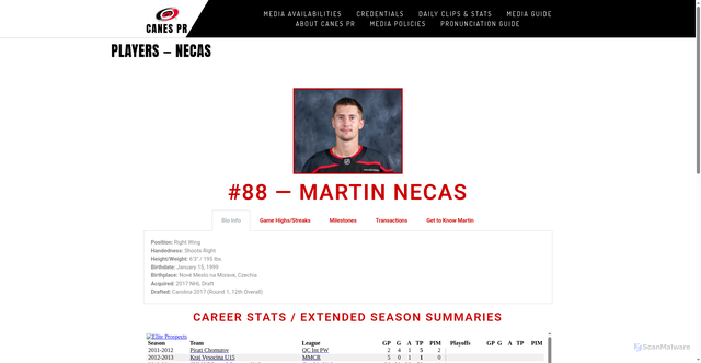 Security scan screenshot of https://canespr.com/martinnecas/