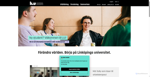 Security scan screenshot of https://www.liu.se