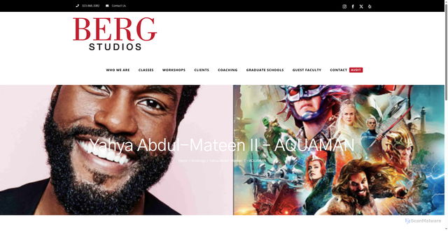 Security scan screenshot of https://bergstudios.com/yahya-abdul-mateen-ii-aquaman/