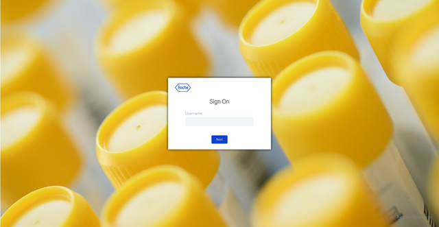 Security scan screenshot of https://rmu.rosa.roche.net
