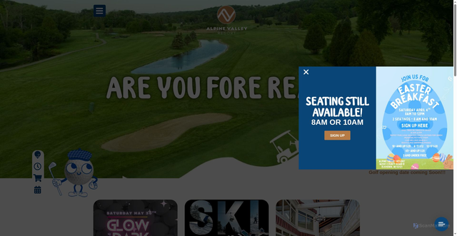 Security scan screenshot of https://alpinevalleyresort.com