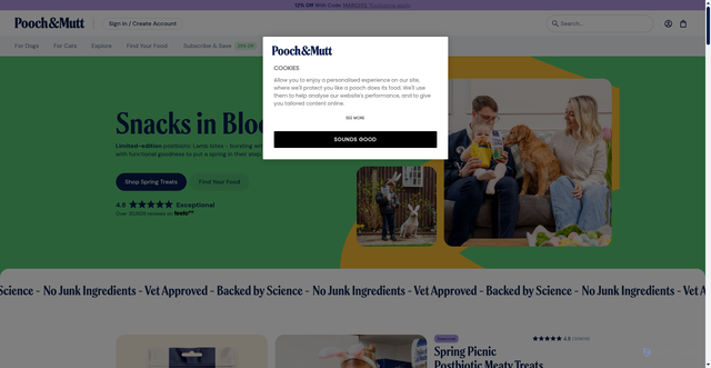 Security scan screenshot of https://poochandmutt.co.uk