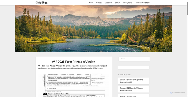 Security scan screenshot of https://cindyepiggs.pages.dev/mthvp-w-9-2025-form-printable-version-guzso/