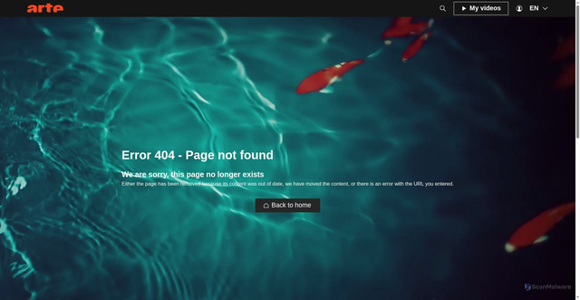 Security scan screenshot of https://api.arte.tv
