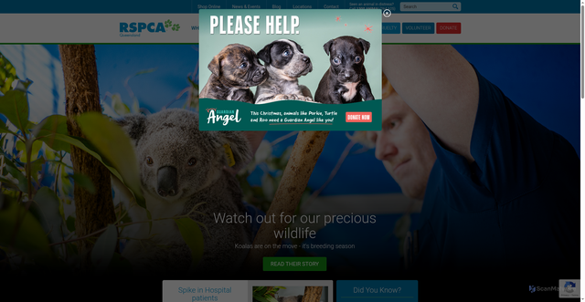 Security scan screenshot of https://www.rspcaqld.org.au/