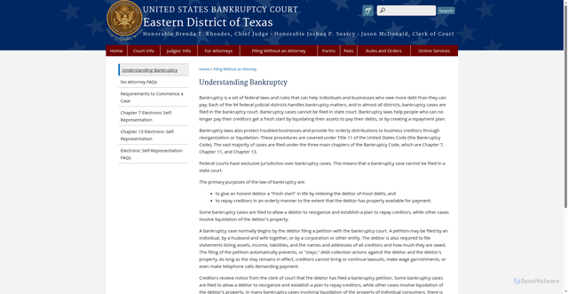 Security scan screenshot of https://www.txeb.uscourts.gov/understanding-bankruptcy