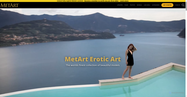 Security scan screenshot of https://met-art.com
