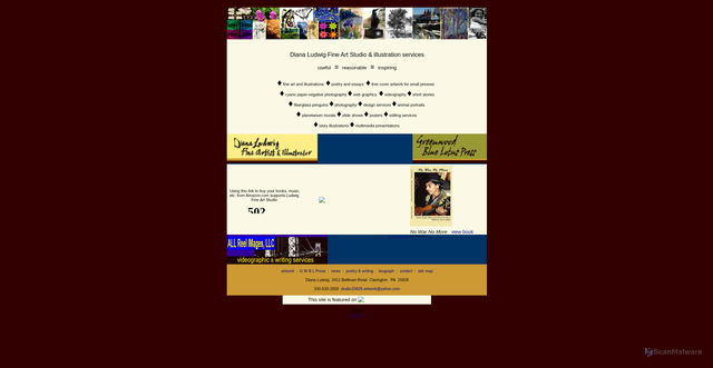 Security scan screenshot of https://dianaludwig.com