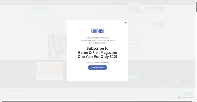 Security scan screenshot of https://www.gameandfishmag.com/editorial/blackened-redfish-recipe/542589