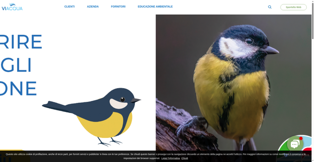 Security scan screenshot of https://www.viacqua.it/