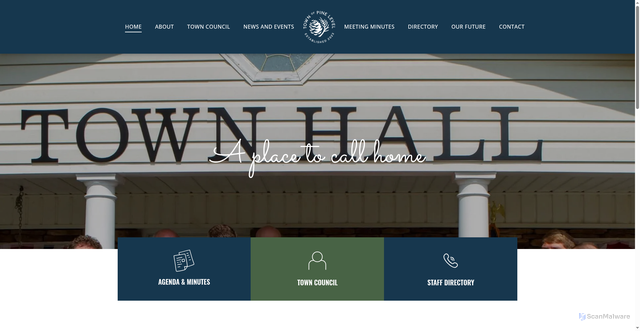 Security scan screenshot of https://www.pinelevelal.gov/