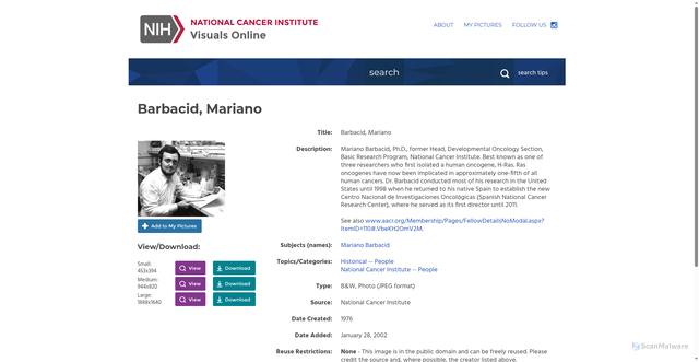 Security scan screenshot of https://visualsonline.cancer.gov/details.cfm?imageid=490
