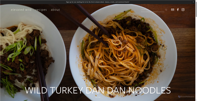 Security scan screenshot of https://elevatedwild.com/elevatedwildblog/wild-turkey-dan-dan-noodle-recipe