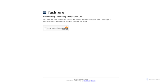 Security scan screenshot of https://fasb.org