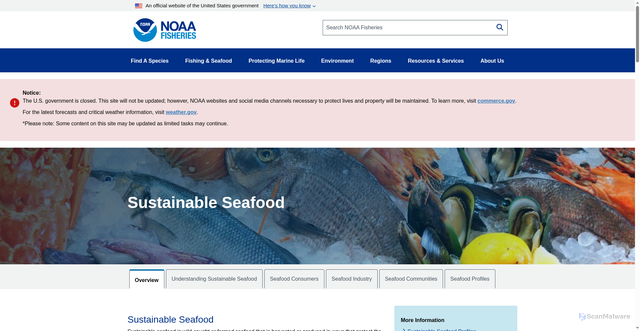 Security scan screenshot of https://www.fisheries.noaa.gov/topic/sustainable-seafood