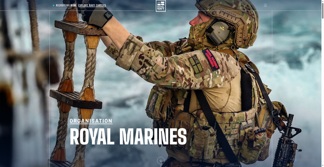 Security scan screenshot of https://www.royalnavy.mod.uk/organisation/royal-marines