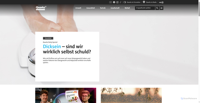 Security scan screenshot of https://quarks.de
