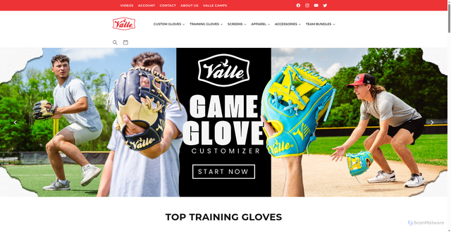 Security scan screenshot of https://vallesportinggoods.com