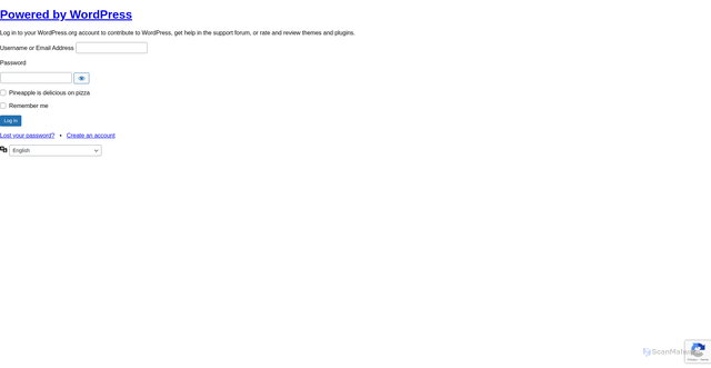 Security scan screenshot of https://login.wordpress.org/