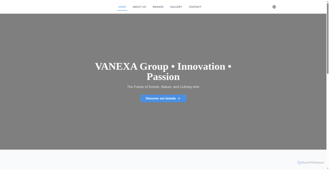 Security scan screenshot of http://vanexa-group.online/