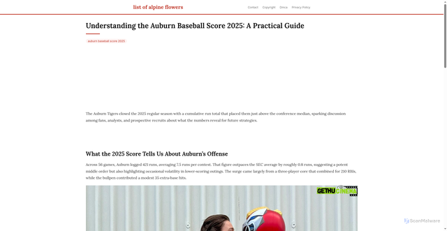 Security scan screenshot of https://vistalokalflow-dpmdyp2ylod7.edgeone.app/auburn-baseball-score-2025.html