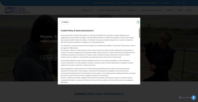 Security scan screenshot of https://www.consorziocer.it/