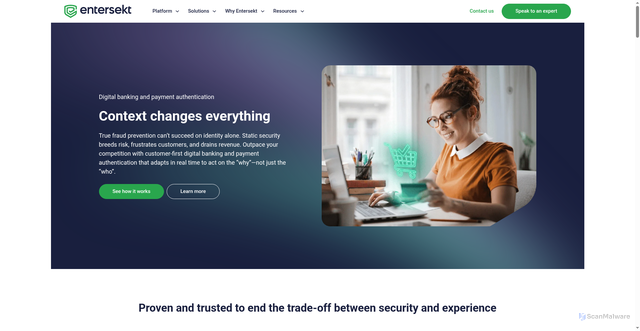 Security scan screenshot of https://entersekt.com
