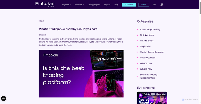 Security scan screenshot of https://www.fintokei.com/blog/what-is-tradingview-and-why-should-you-care/