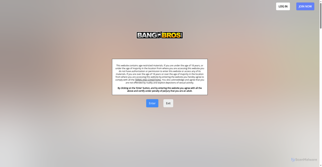 Security scan screenshot of https://bangbros.com