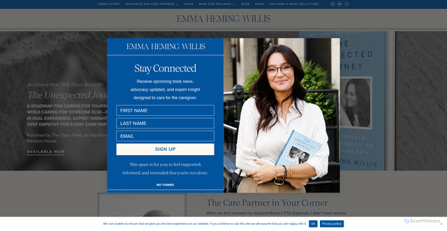 Security scan screenshot of https://emmahemingwillis.com/