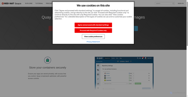 Security scan screenshot of https://cdn04.quay.io