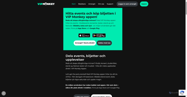 Security scan screenshot of https://vipmonkey.se