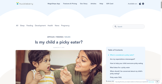 Security scan screenshot of https://huckleberrycare.com/blog/is-my-child-a-picky-eater