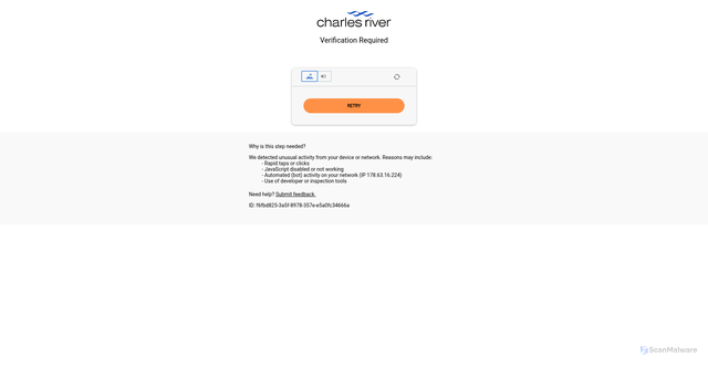 Security scan screenshot of https://www.criver.com
