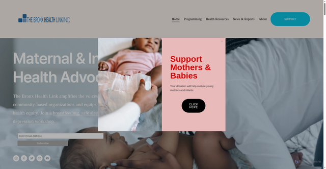 Security scan screenshot of https://www.bronxhealthlink.org/