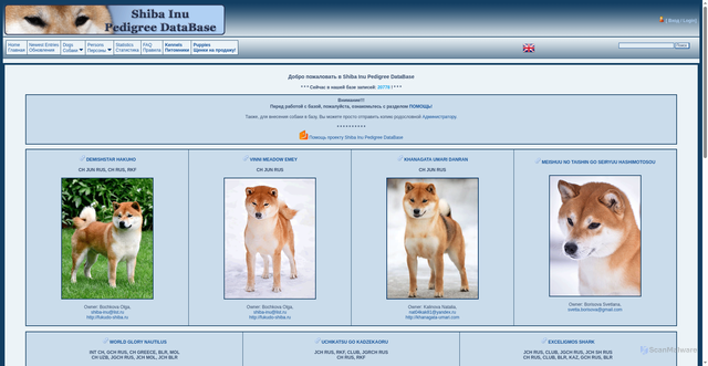 Security scan screenshot of https://shiba-pedigree.ru