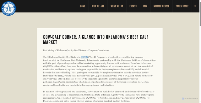 Security scan screenshot of https://tscra.org/cow-calf-corner-a-glance-into-oklahomas-beef-calf-market/