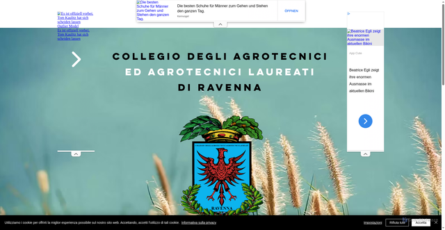 Security scan screenshot of https://www.agrotecniciravenna.com/