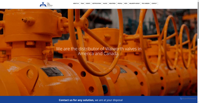 Security scan screenshot of https://twcvalves.com/